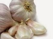 Benifits Garlic Medicine: Increase Duration, Joint Pain Relief, Lowarise Cholesterol, Liver Disorders, Control Diabetics, Cancer
