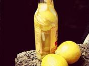 Green Cleaning DIY: Lemon Vinegar All-Purpose Liquid Disinsfectant