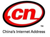 NiceNic Releases February Chinese Auction Results 126.CN Sells $110,432