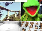 Lime Link Love 01.03.2014