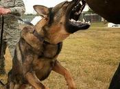 When Roll Called Yonder, Will There?