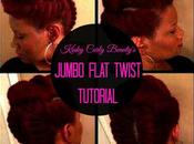Kinky Curly Beauty's Signature Jumbo Flat Twist Pinup