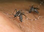 Thanks Climate Change, West Nile Virus Could Your Neighbor TIME.com