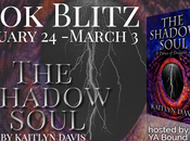 Shadow Soul Kaitlyn Davis: Spotlight Excerpt