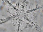 Autistic Christian, Part