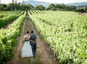 Vineyard Weddings: Keeping Your Guests Comfortable