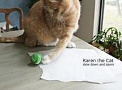 Mondays with Karen Cat: Roll Punches.