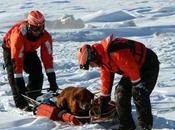 Moment Coast Guard Crews Rescue Frozen Lake Days Attacked Foxes