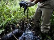 Judge Rules Chevron Ecuador Case