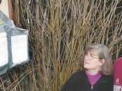 Port Angeles Residents, City Odds Over Smart Meter Installation