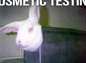 U.S. Rep. Moran Introduces Bill Cosmetics Testing Animals