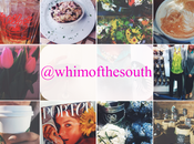 {Whim South Mini Moments}