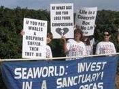 Sign Petition Free Californian Orcas SeaWorld