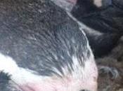 Behind Scenes Trip Month Travel Review