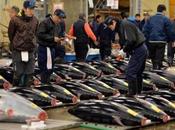 Japan Half Tuna Catches Northern Pacific