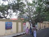 Gosha Hospital Founding Lady Mary Anne Dacomb Bird Scharlieb