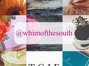 {Whim South Mini Moments}