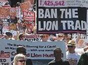 Rallies S.Africa Save King Beasts
