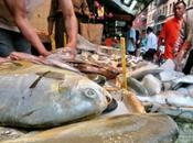 Rare Skin Infections Spread Through Chinese Seafood Markets York City
