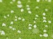 What Hailstorm........ That Covered Insurance Policy