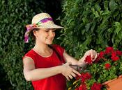 Gardening Mistakes Avoid