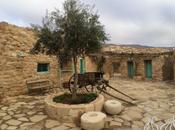 Lunch Taybet Zaman Village: Petra, Jordan