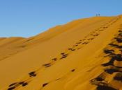 Soussusvlei, Namibia: Photojourney Highest Sand Dunes Earth