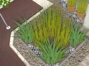 Minimalist Garden Plan 2014