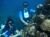 Discover Scuba Diving: First-Time Visit World Under