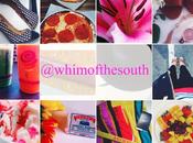 {Whim South Mini Moments}