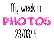 Week Photos 23/03/14