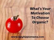 What’s Your Motivation Choose Organic?