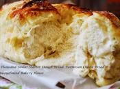 Five Thousand Dollar Starter Dough Bread: Parmesan Cheese Cinnamon Rolls (五千块老式酵头面包）