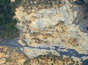 State Allowed Logging Plateau Above Landslide