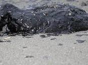 Protecting Fresh Water Sources Oceans….