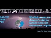 Newsweek Engulfed Social Media Backlash Historic WAZA Dolphin Protest