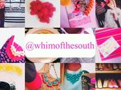 {Whim South Mini Moments}