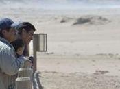 This Perplexing Faithful