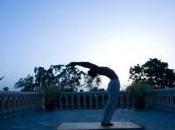World’s Best Yoga Retreats