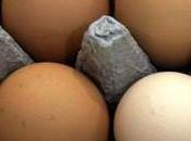 USDA: Selling Organic Protect Five Factory Farms