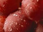 Pain Combating Foods