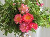 Coral Peonies Branches