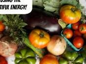 Grow Your Hydroponic Produce Using Sun’s Bountiful Energy!