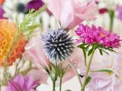 Sunday Bouquet: Freshly Flowers