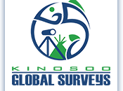 Kinosoo Global Surveys