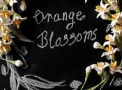 Orange Blossoms Vintage Themed Wedding