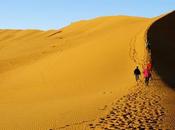 Tips Mobile Travel Photography