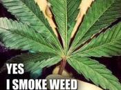 Marijuana Gaining Respectability United States