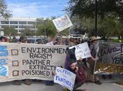 Updates from Seminole Opposition Everglades