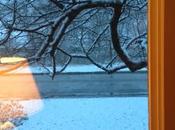 Seriously, It's Snowing (and Thoughts Atlas Shrugged)